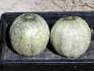 7-melon.jpg (35928 oCg)